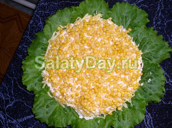 Изысканный "Подсолнух" с луком порей, без чипсов