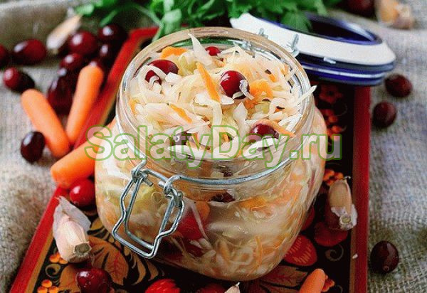 Салат из свежей капусты с мёдом и клюквой на зиму