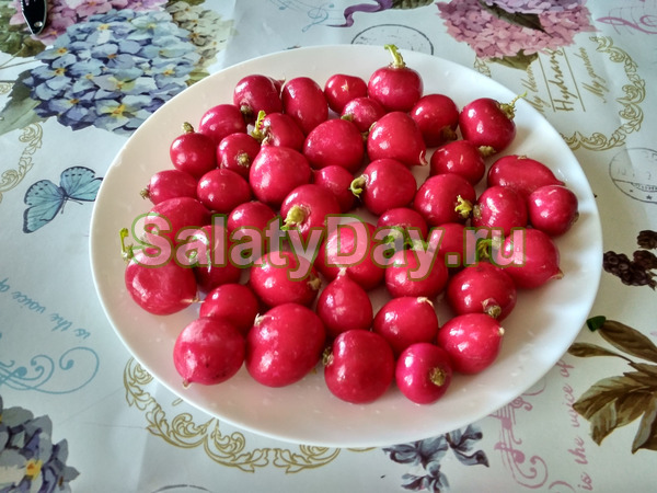 Салаты и закуски к шашлыку с фото 8