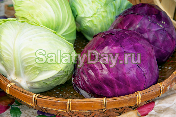 «Капустяный» салат